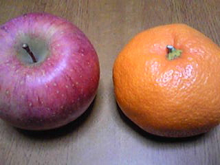 Image955.jpg